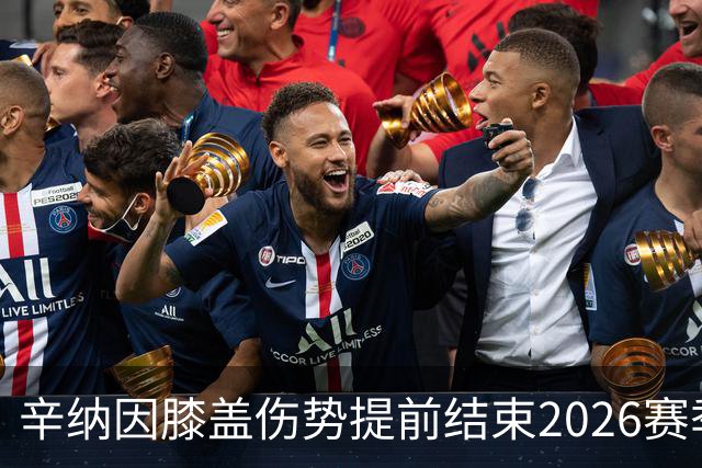 辛纳因膝盖伤势提前结束2026赛季